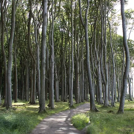 Villa-christine App.04 - Seerose شقة